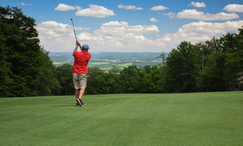 Golfer-scenic view-ball in flight
